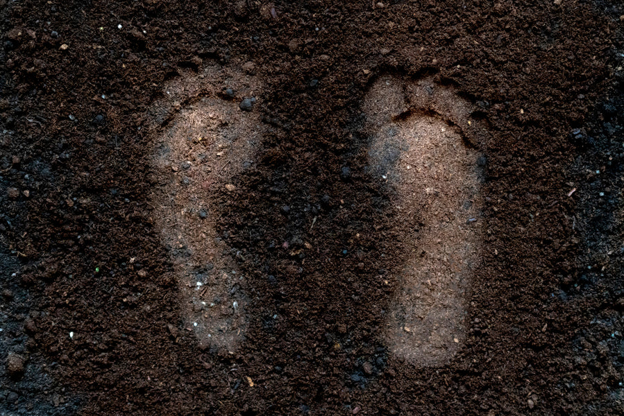 Why You Should Ground Yourself Every Day